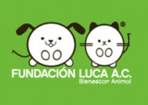 Fundación Luca A.C.